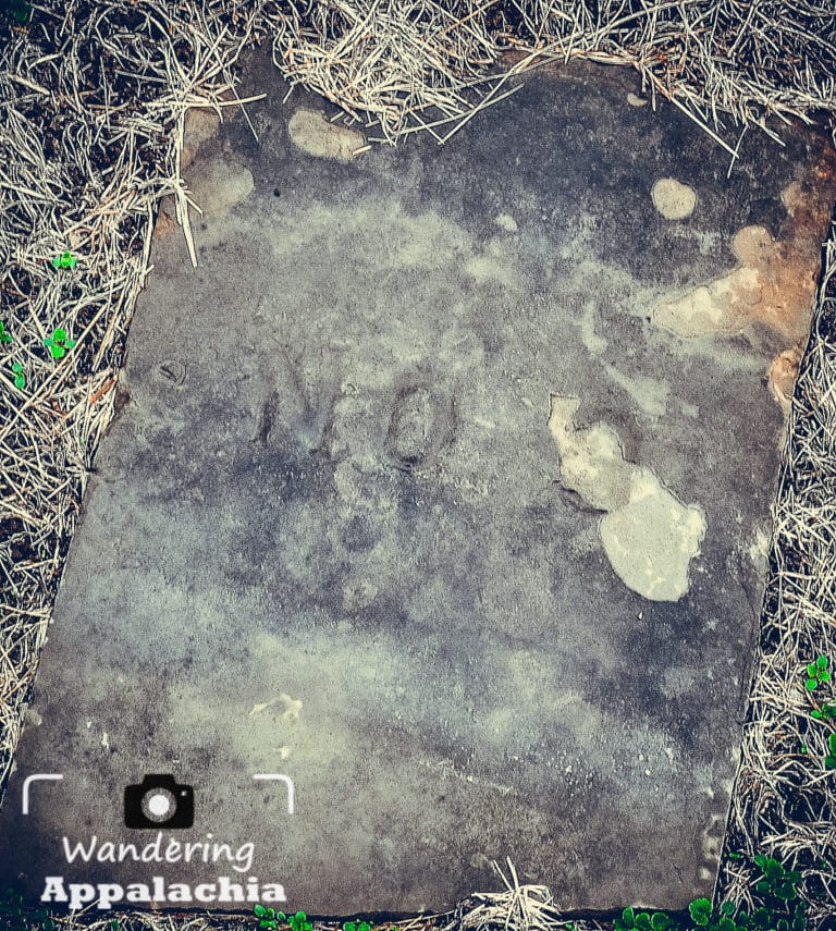 Infirmary Grave #3: Elizabeth Colegrove