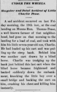 Singular and Fatal Accident of Little Charlie Pease