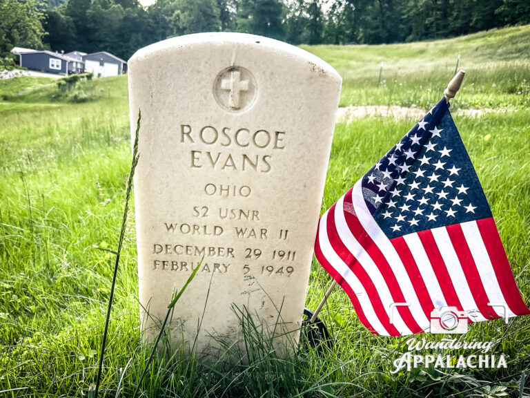 Tragedy on the Tracks: Arion Father of Five Killed by Train