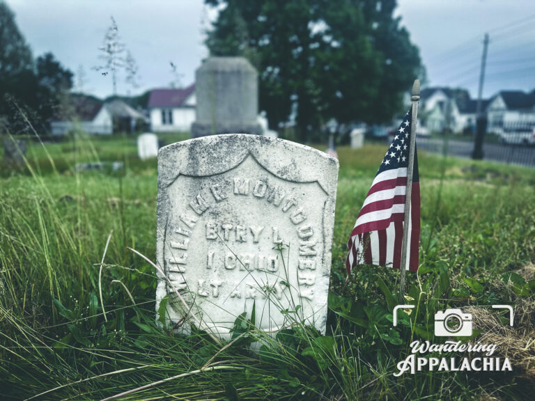 From Vienna to the Soldiers’ Home: The Life of William R. Montgomery